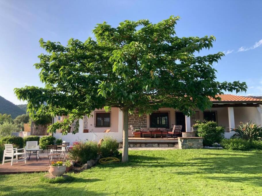 Countryside Villa In Sardinia Triei Exteriér fotografie