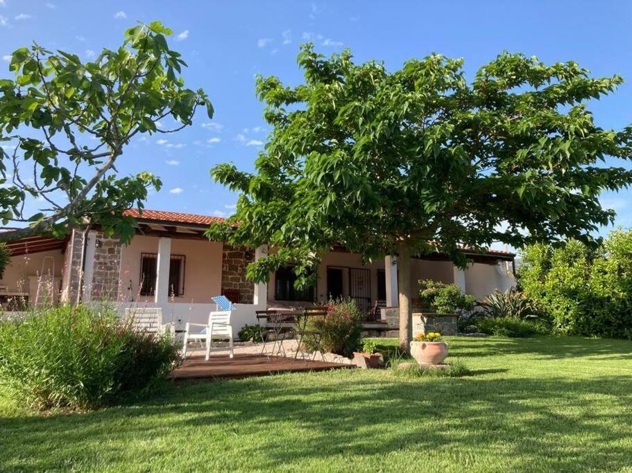 Countryside Villa In Sardinia Triei Exteriér fotografie